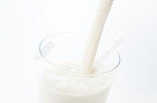 奶照片,探寻美味奶制品背后的故事