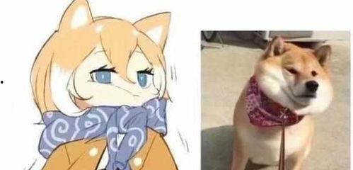 颜值即是正义表情包,揭秘颜值表情包的魅力与影响力