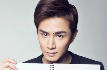 厅姓明星,闪耀娱乐圈的璀璨星辰